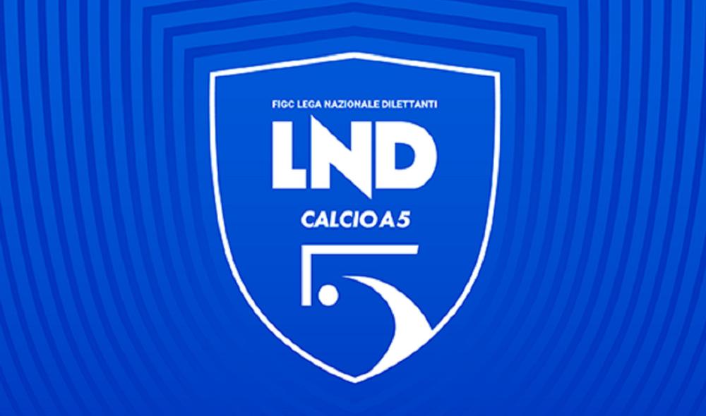 Divisione Calcio a 5, convocata l’Assemblea Straordinaria per martedì 5 maggio 2026