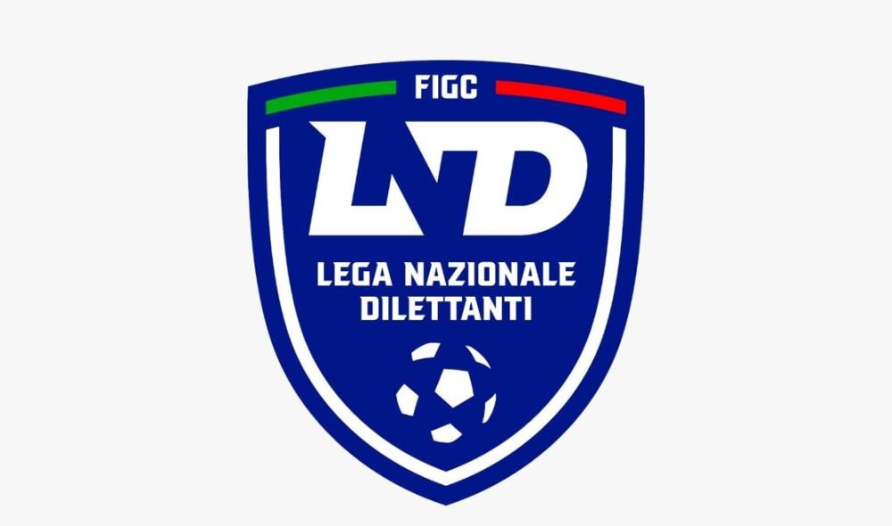 #SerieDFutsal 2026-27, 13 società iscritte a Latina: la lista completa