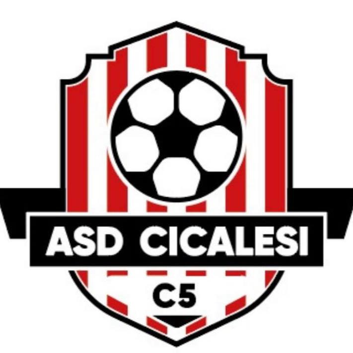 Team Logo1