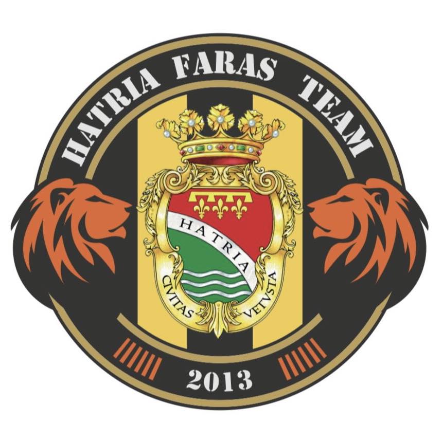 Team Logo1