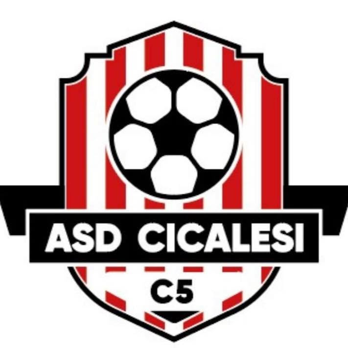 Team Logo1