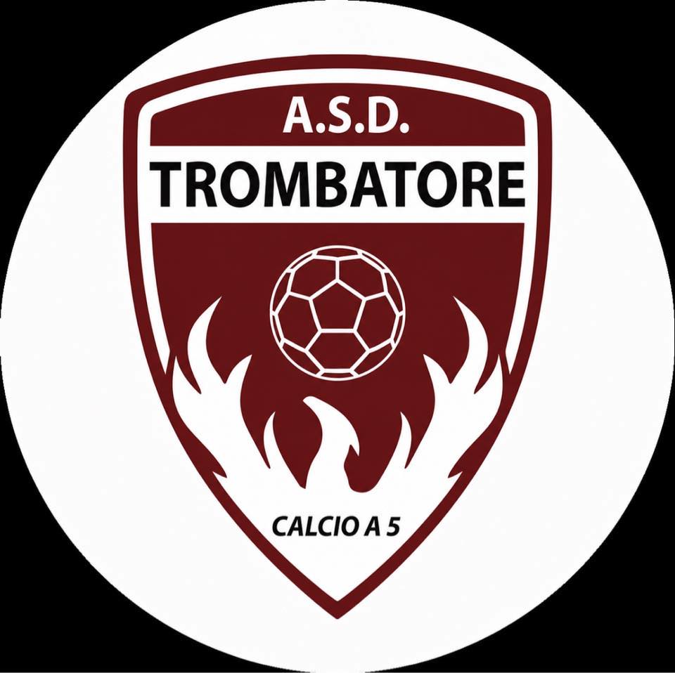 Team Logo1